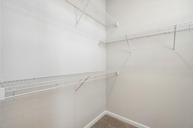 172 Sea Oats Street, Summerville, SC 29485