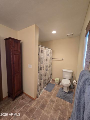 2785 N SKYHAWK Drive, Overgaard, AZ 85933