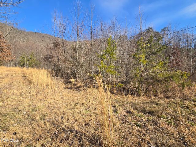 164 Leaning Tree Drive, Gate City, VA 24251