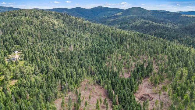 XXX N Deer Ln, Mead, WA 99021