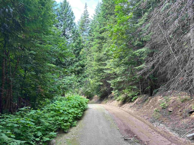 XXX N Deer Ln, Mead, WA 99021