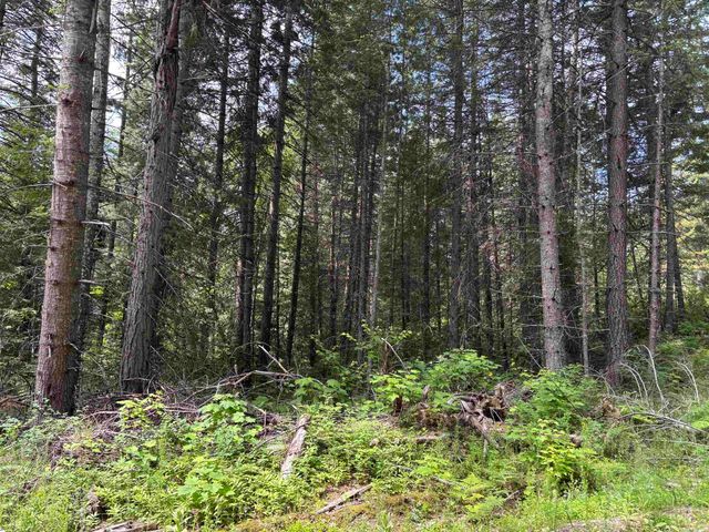 XXX N Deer Ln, Mead, WA 99021