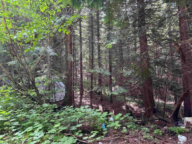XXX N Deer Ln, Mead, WA 99021