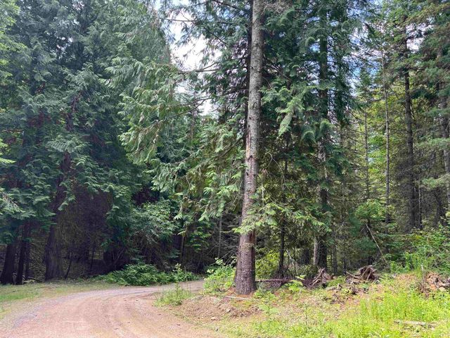 XXX N Deer Ln, Mead, WA 99021