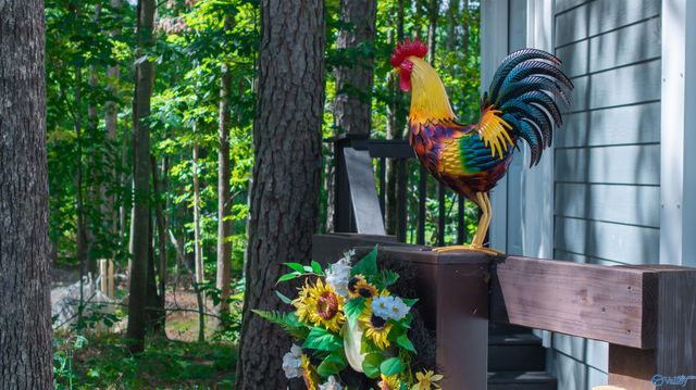 608 County Road 642, Mentone, AL 35984