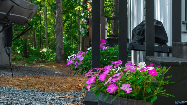 608 County Road 642, Mentone, AL 35984