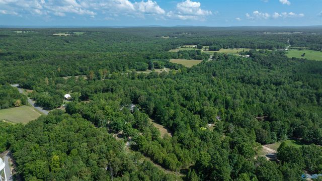 608 County Road 642, Mentone, AL 35984