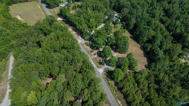 608 County Road 642, Mentone, AL 35984