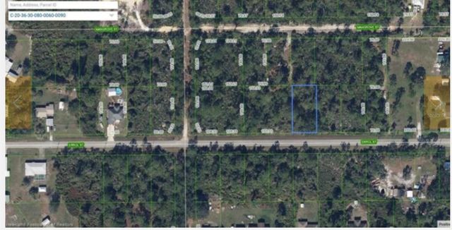 1510 ERROL STREET, Lake Placid, FL 33852