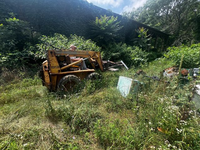 2971 DISPANET RD, Mathias, WV 26812