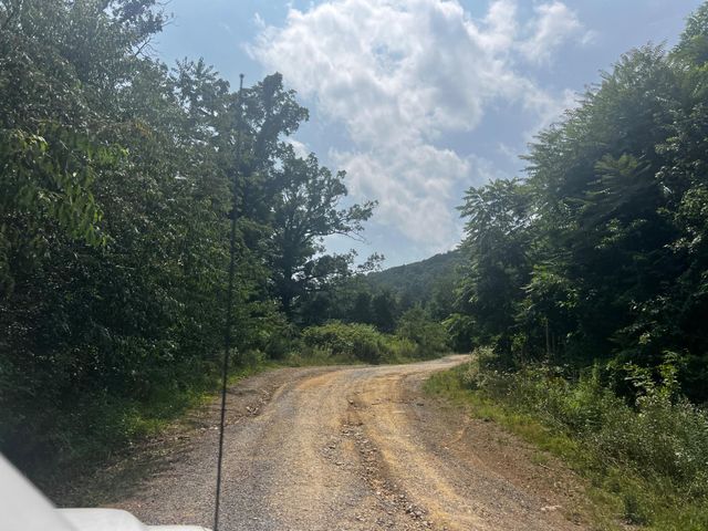 2971 DISPANET RD, Mathias, WV 26812