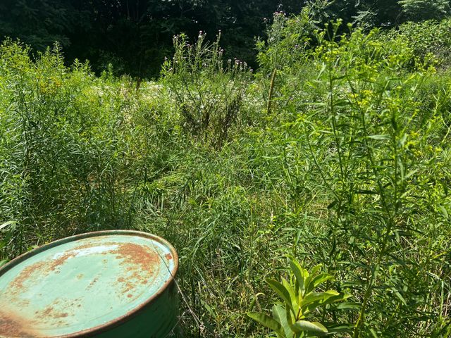 2971 DISPANET RD, Mathias, WV 26812