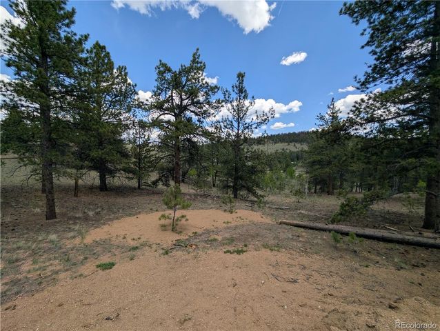 2117 Badger Creek Road, Hartsel, CO 80449