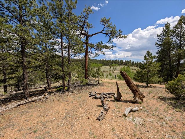 2117 Badger Creek Road, Hartsel, CO 80449