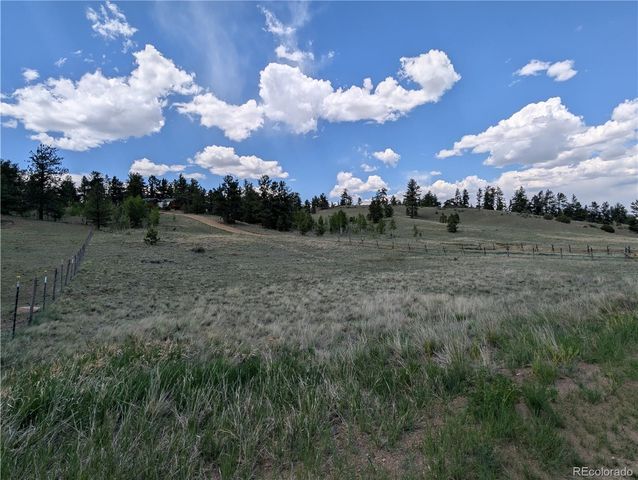 2117 Badger Creek Road, Hartsel, CO 80449
