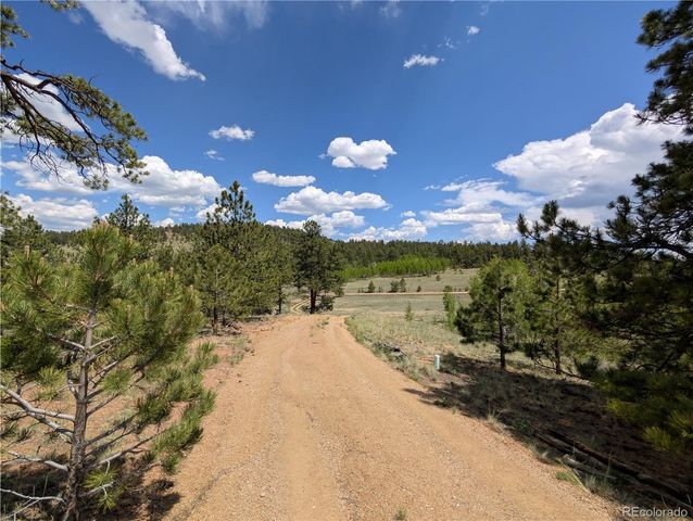 2117 Badger Creek Road, Hartsel, CO 80449