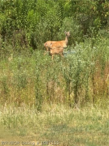 2323 S Coker Street, Greenwood, AR 72936