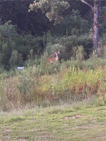 2323 S Coker Street, Greenwood, AR 72936