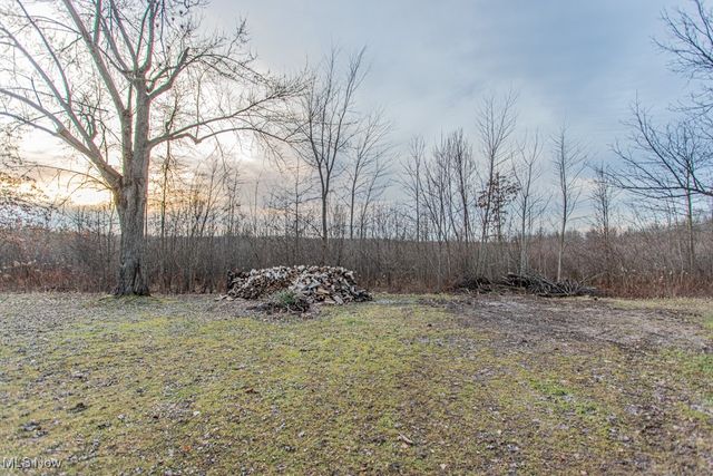 4453 N Leavitt, Warren, OH 44485