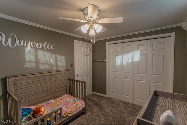 4453 N Leavitt, Warren, OH 44485