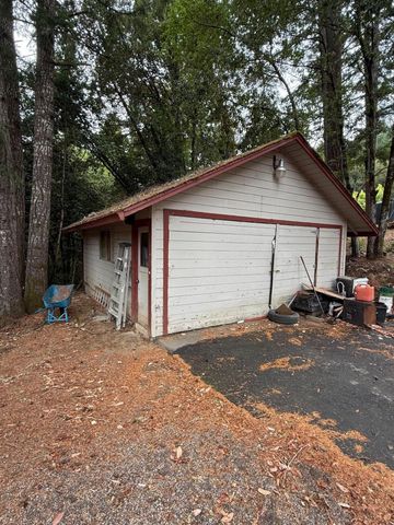 9819 Dyerville Loop Road, Myers Flat, CA 95554