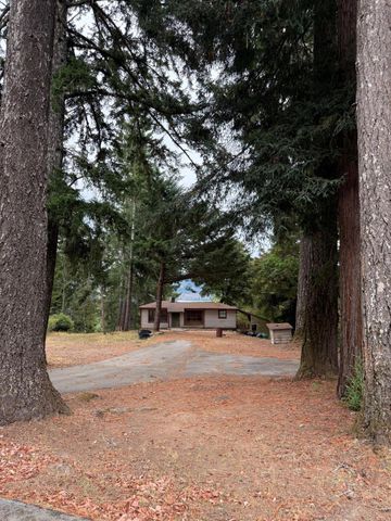 9819 Dyerville Loop Road, Myers Flat, CA 95554