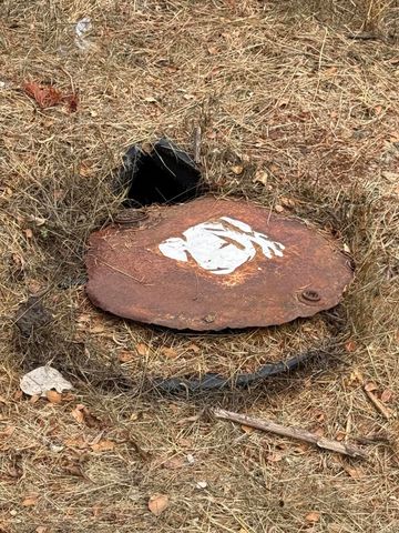 9819 Dyerville Loop Road, Myers Flat, CA 95554