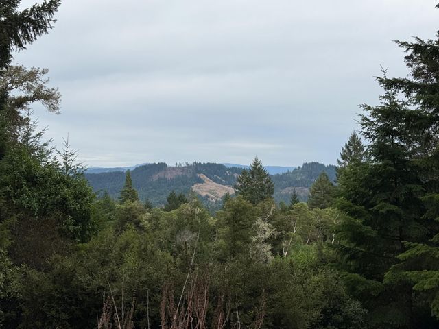 9819 Dyerville Loop Road, Myers Flat, CA 95554