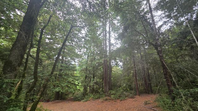 9819 Dyerville Loop Road, Myers Flat, CA 95554