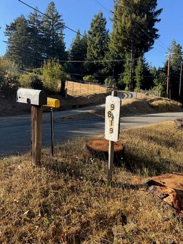 9819 Dyerville Loop Road, Myers Flat, CA 95554