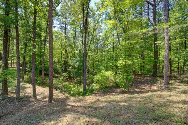2182 Ben Higgins Road, Dahlonega, GA 30533