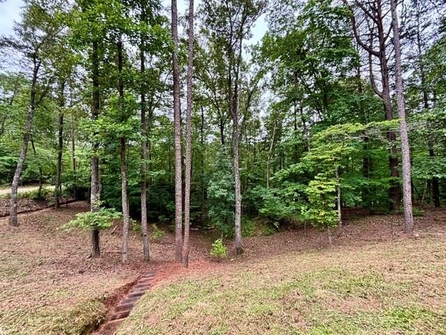 2182 Ben Higgins Road, Dahlonega, GA 30533