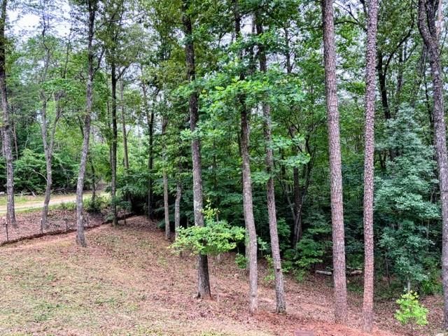 2182 Ben Higgins Road, Dahlonega, GA 30533