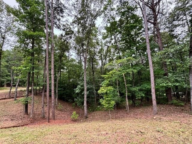 2182 Ben Higgins Road, Dahlonega, GA 30533