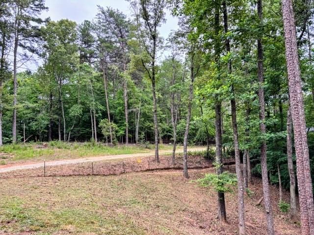 2182 Ben Higgins Road, Dahlonega, GA 30533