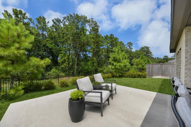 111 Harlequin Duck Court, Magnolia, TX 77354