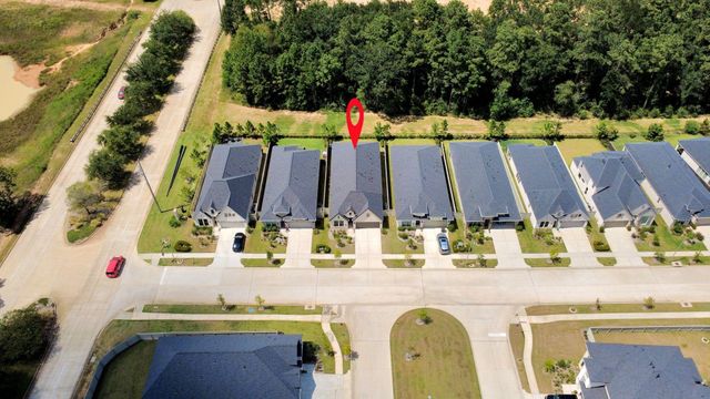 111 Harlequin Duck Court, Magnolia, TX 77354