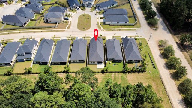 111 Harlequin Duck Court, Magnolia, TX 77354
