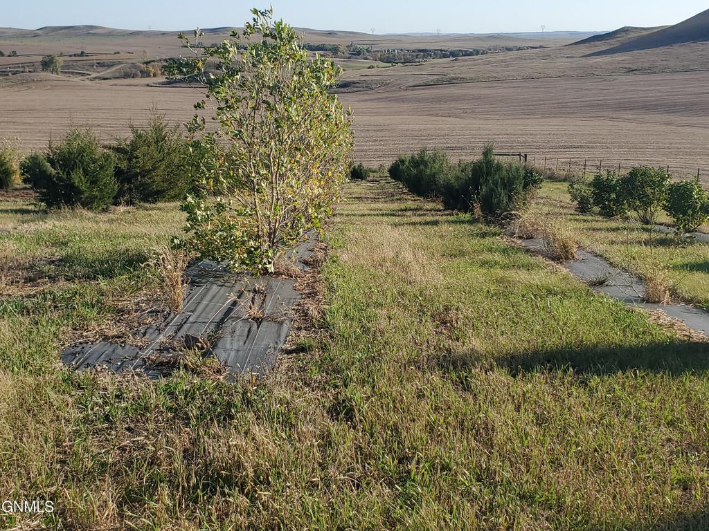 6851 2nd Avenue SW, Hazelton, ND 58544 photo 5