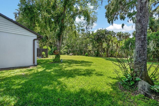 357 CASTLEWOOD LANE, New Smyrna Beach, FL 32168