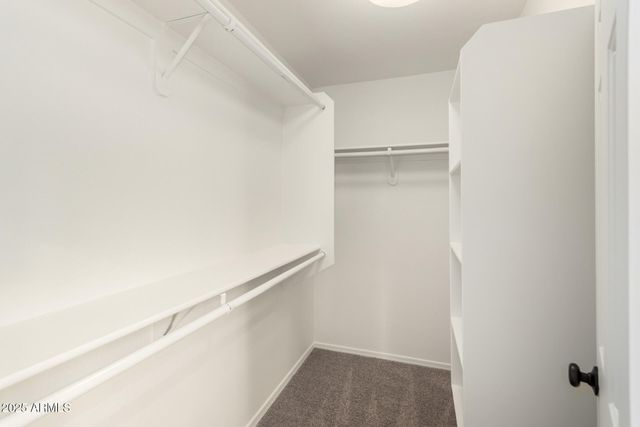 16803 S 24TH Place, Phoenix, AZ 85048