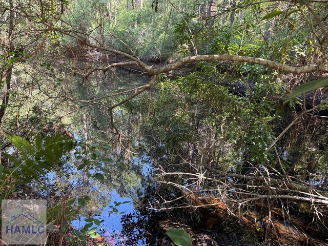 285 Knotty Pine Road, Jesup, GA 31545