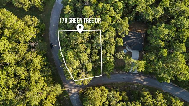 179 Green Tree Drive, Coldspring, TX 77331