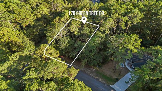 179 Green Tree Drive, Coldspring, TX 77331