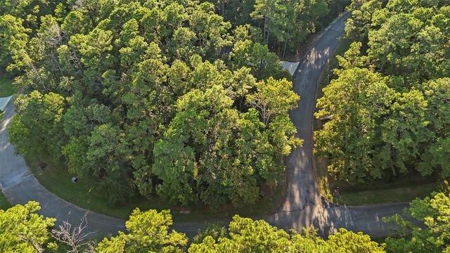 179 Green Tree Drive, Coldspring, TX 77331