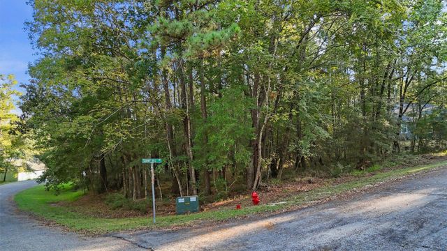 179 Green Tree Drive, Coldspring, TX 77331