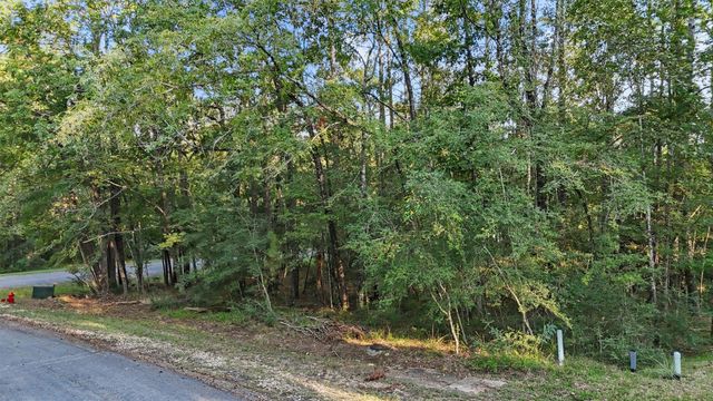 179 Green Tree Drive, Coldspring, TX 77331