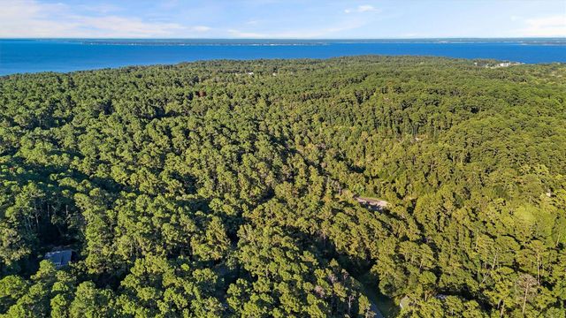 179 Green Tree Drive, Coldspring, TX 77331