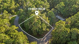 179 Green Tree Drive, Coldspring, TX 77331