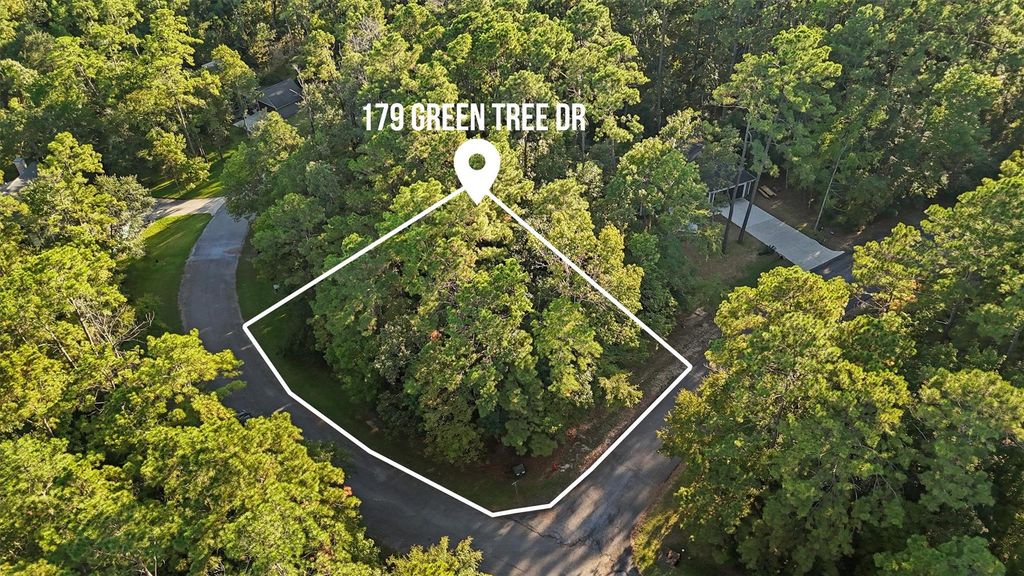 179 Green Tree Drive, Coldspring, TX 77331